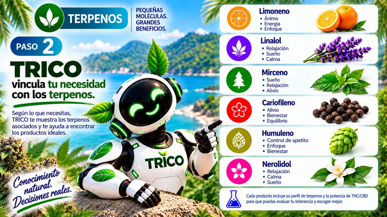 Brochure · Página 3