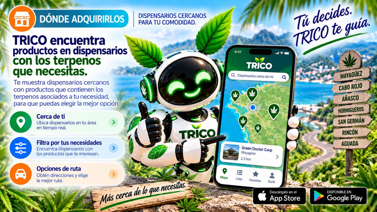 Brochure · Página 4
