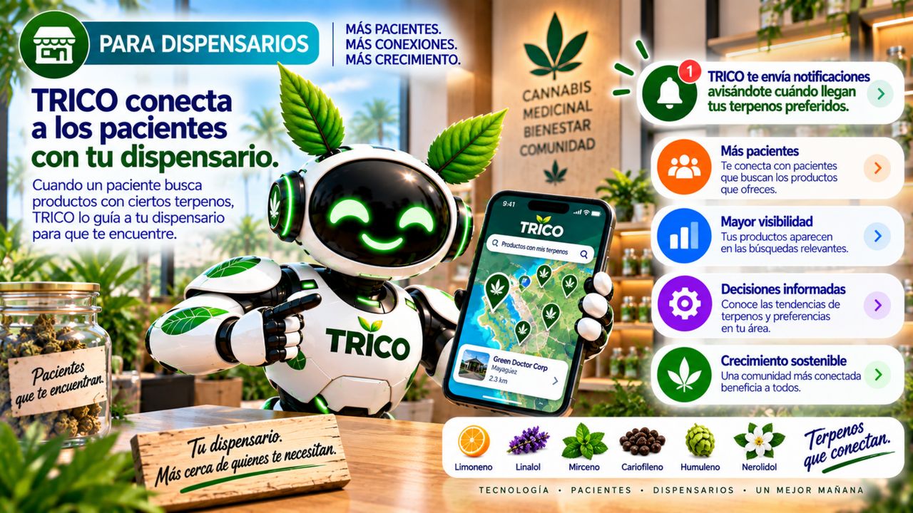 Brochure · Página 5