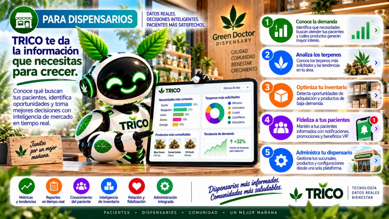 Brochure · Página 6
