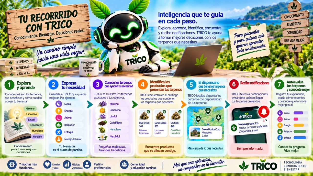 Brochure · Página 7